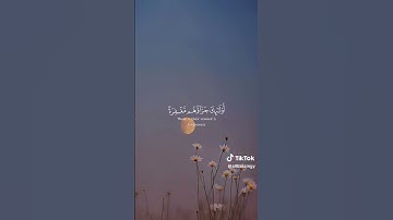 #المصحف #quran #الرحمن #تيك_توك #اكسبلور #تلاوة_خاشعة