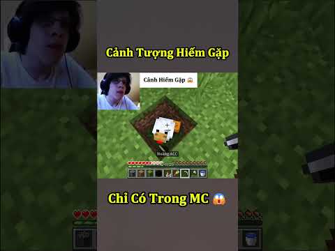 Cảnh Tượng Hiếm Gặp Chỉ Có Trong Minecraft ( Tập 14 ) 🤣 #shorts