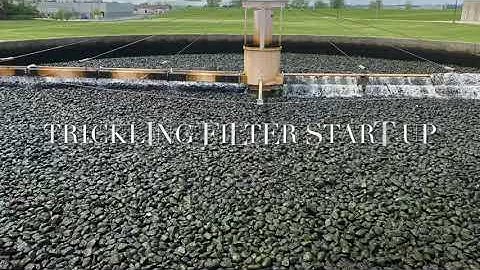 Trickling filter start up