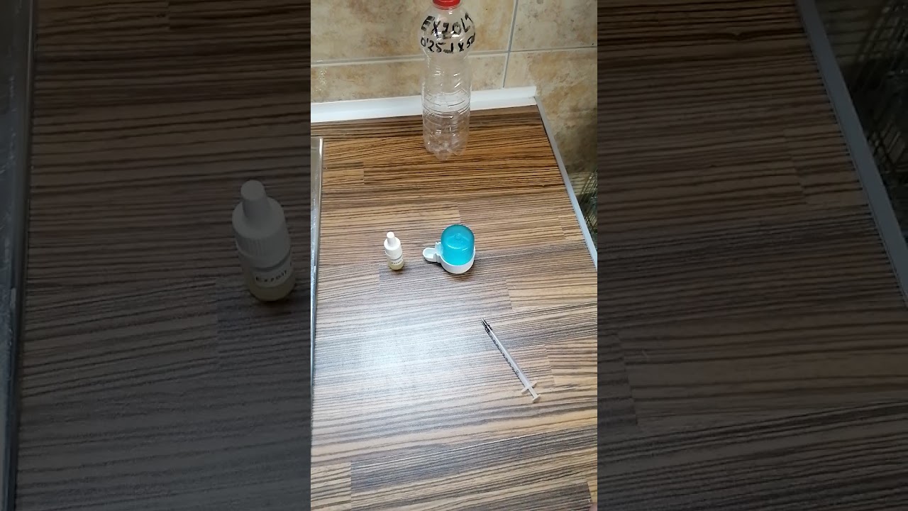 Exzolt para mi lo mejor para piojillo y acaros