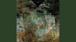Library Tapes: Trees (II)