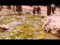 الهودج طقوس الزواج بخنيفرة 1 3 