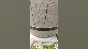 Harvesting Rain Water - Filling up the barrel in spring! Part 2