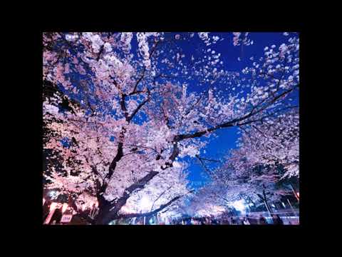 残響散歌　歌ってみた 男