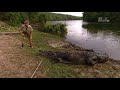 The crocodile hunter  best of steve irwin  s01 e06