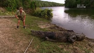 The Crocodile Hunter - Best Of Steve Irwin - S01 E06 screenshot 3