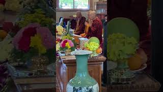 IMG 7306