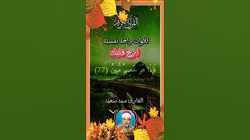 سيد سعيد|| #تلاوة_خاشعة #ستوري_قرآن