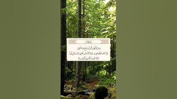 القارئ رعد الكردي | سورة يس