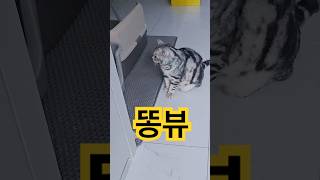 이해하는걸 포기하기로 했다