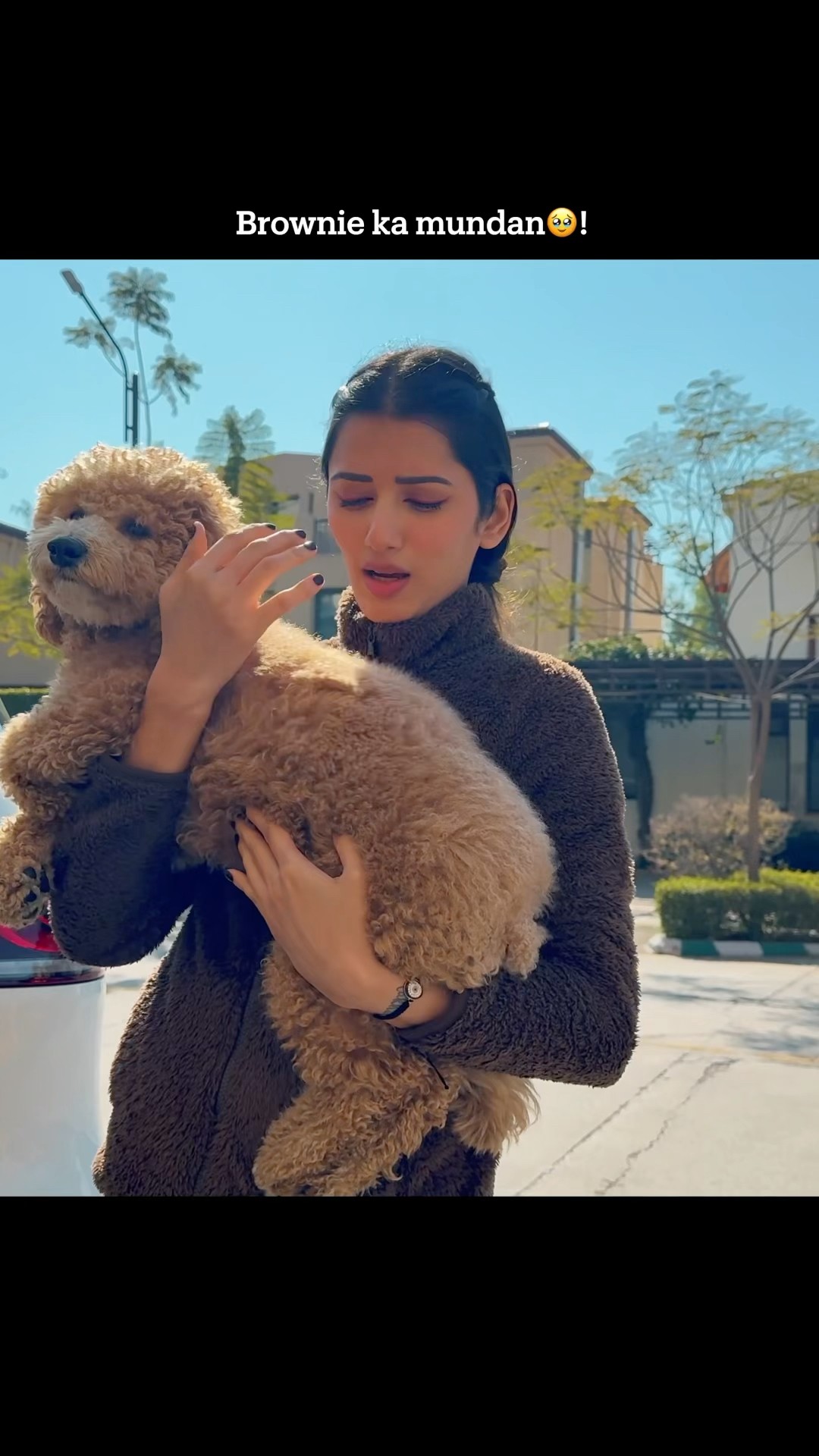 Brownie ka mundan karwa diya??❤️ #neetubisht #comedy #funny