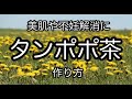 【タンポポ茶の作り方】美肌・母乳不足・血栓症に　How to make dandelion tea