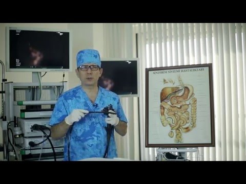 Endoskopi nedir? Gastroskopi nedir? Prof. Dr. Orhan Tarçın