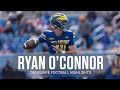 Delaware football quarterback ryan oconnor highlights  2023 caa football
