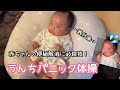 【赤ちゃんの便秘解消】成功率90%以上!うんちパニック体操