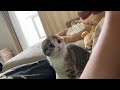 子猫と帰宅時間で大げんかしましたｗｗｗ