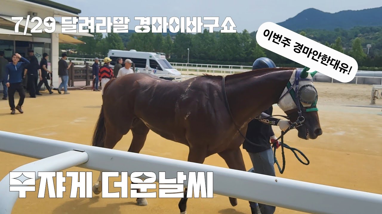 외국경주마들 코리아컵 예비등록 많이 했구마!(상금이 땡기나벼?) 경마 이바구쇼.