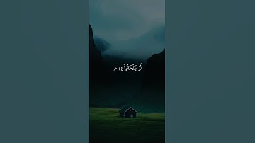 اكتب شيء تؤجر عليه..❤️😴 - القارئ محمد المنشاوي