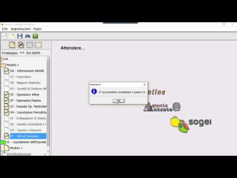 Video: Come Compilare Una Dichiarazione IVA All'importazione