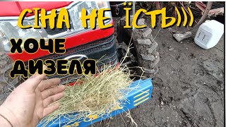 видео: РЕГУЛЮВАННЯ клапанів і планова перетяжка головки. картинка: РЕГУЛЮВАННЯ клапанів і планова перетяжка головки.