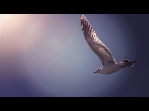 holy-spirit-worship-music-|-music-for-quiet-moments-|-worship-instrumental
