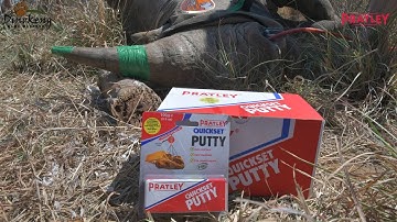 Pratley Quickset® Putty used in the efforts to protect rhinos