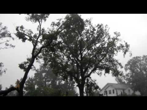Hurricane Irene Eyewall - Huge Tree Snaps in 80mph Wind Gust - Duck, NC - August 27, 2011