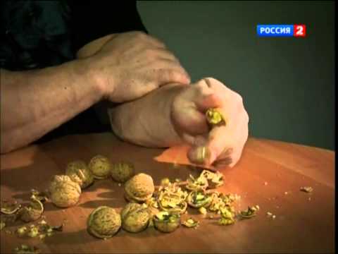 Denis Cyplenkov VS Walnuts