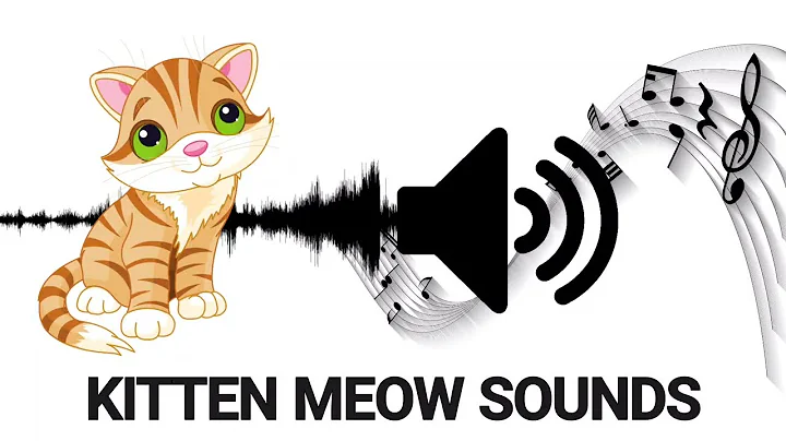 Video 3156821: kitten meow sound, meowing cat sound, cute cat sounds, cat baby sound, cat cute funny