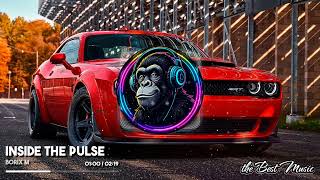 Inside The Pulse - Borix M
