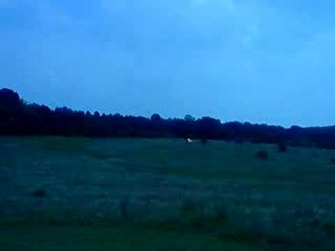 Vid2 - YouTube