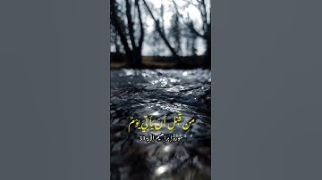 سورة إبراهيم الآية 31 🫀