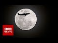 The 'super blue blood Moon' across the world - BBC News