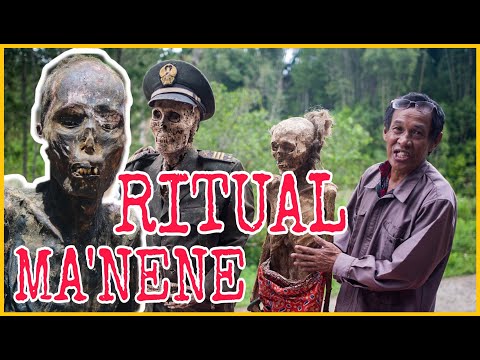 SUKU KAUM TORAJA | RITUAL PERJALANAN M*YAT