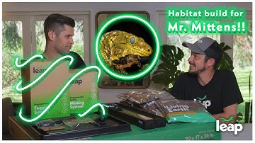 Leap FULL SETUP HABITAT BUILD for Mr. Mittens! (Rhacodactylus leachianus)