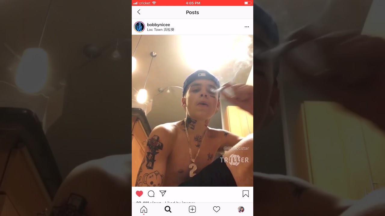 punch me in bobbynice