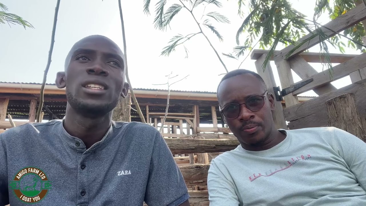 Full video on vaccination schedule, fighting diseases in goats, deworming schedules. Meet the vet.