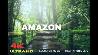 Amazon Lofi & Chill | Tranquil Beats – Mind Relaxing Music | SleepScape USA – Lofi & Relaxation