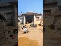 #youtubeshorts #viral #viralvideo