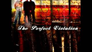 The Perfect Violation -- Demonstrative (2009) [Full Album]