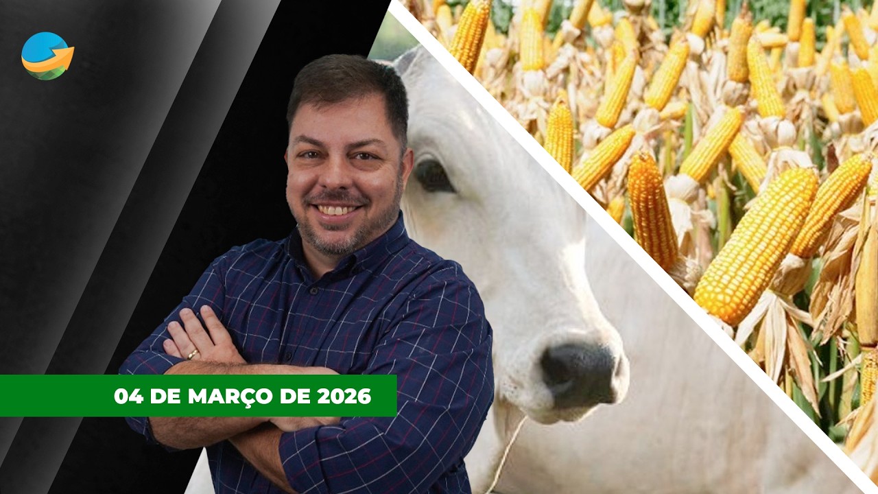 Crise no Oriente Médio preocupa e alguns frigoríficos saem das compras. Milho realiza lucros em ...