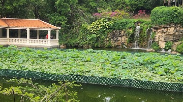 Tsing Yi Park in Hong Kong (Walking Tour)