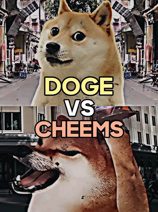 Quickscoper Doge: The Dank Illuminati Memes no Steam