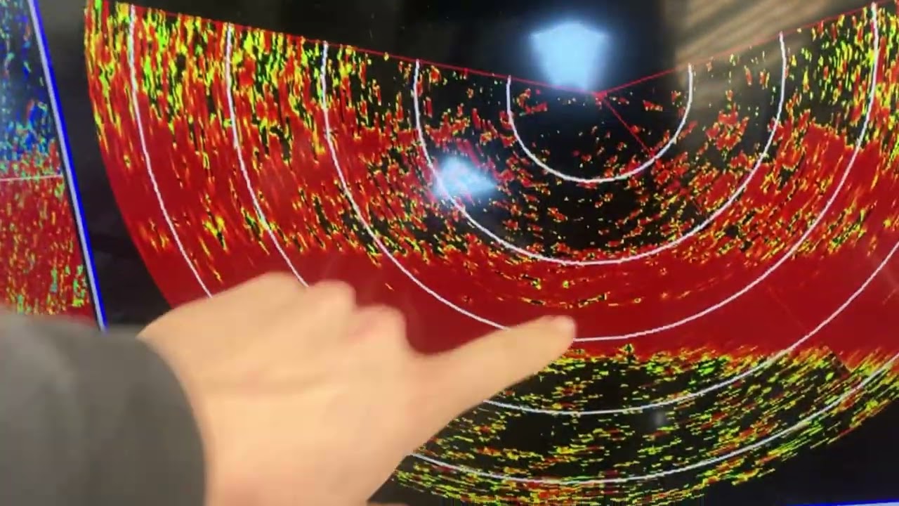 Pollock Fishing, Shelikof A Season 2024