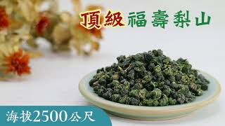 2018春茶頂級福壽山