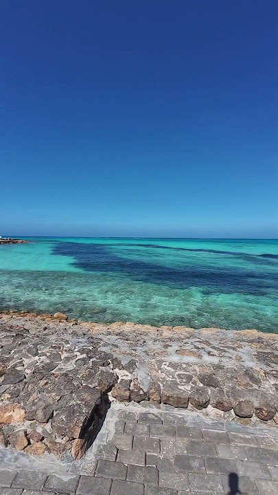Carols Beau Rivage🐬 Marsa Matruh🐠 Egypt🪼