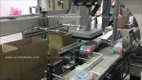 Baby paper tissue bag robot hands sorting picking cartoning machine encasing line packing video