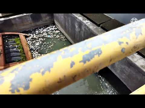 Video: Kaedah yang manakah mengeluarkan gas terlarut daripada air suapan di loji rawatan air?