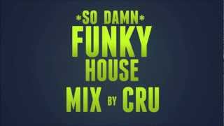 Download Lagu It's The (So Damn) Funky House Mix by Cru! MP3 Download Lagu It's The (So Damn) Funky House Mix by Cru! MP3