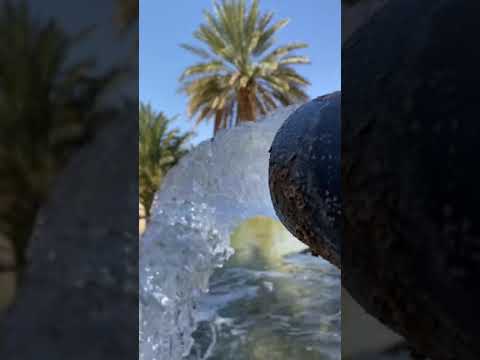 الرجل المقدر محمد المقحم